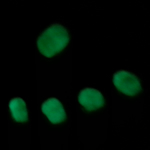 glow_in_the_dark_blauw